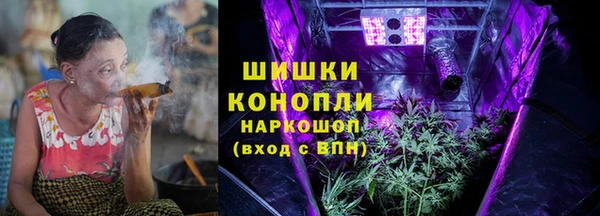 дмт Алзамай