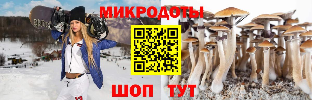 Псилоцибиновые грибы ЛСД Егорьевск
