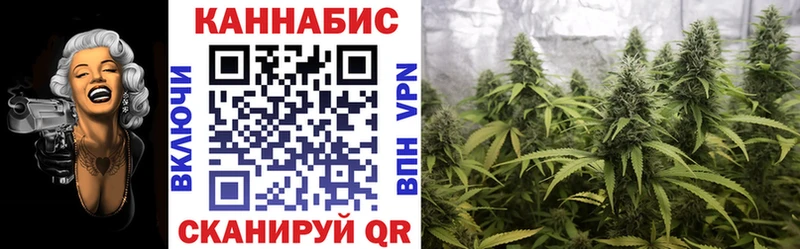 Бошки Шишки SATIVA & INDICA  omg ONION  Егорьевск 
